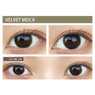 Victoria 1day Velvet Moca キャンディーマジックヴィクトリア ワンデー シンプルシリーズ ベルベットモカ